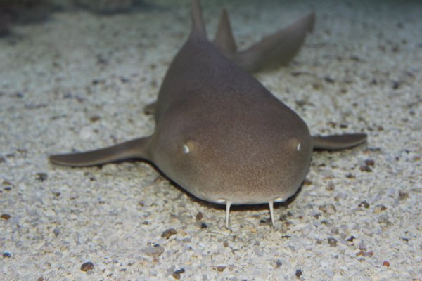 Imagen foto_00000011