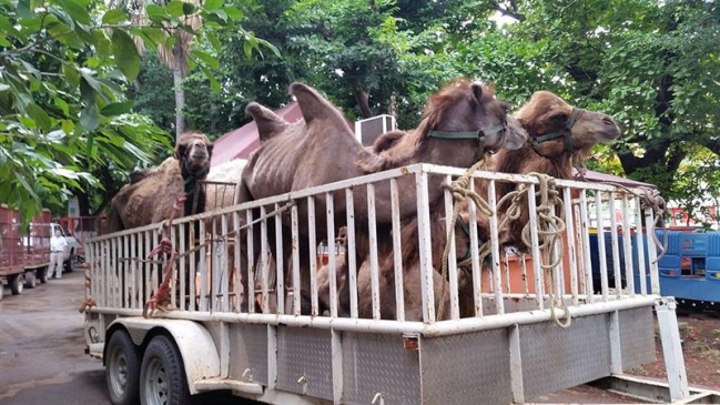 Imagen foto_00000001