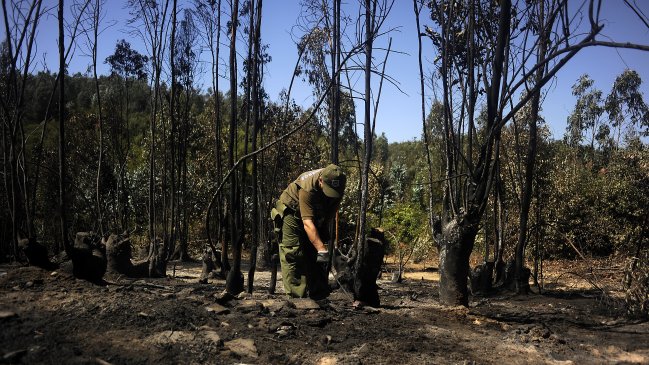 Este jueves se conocerá veredicto por incendio forestal de Rodelillo en Valparaíso