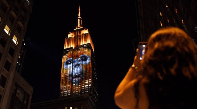 El Empire State, iluminado con animales en peligro de extinción