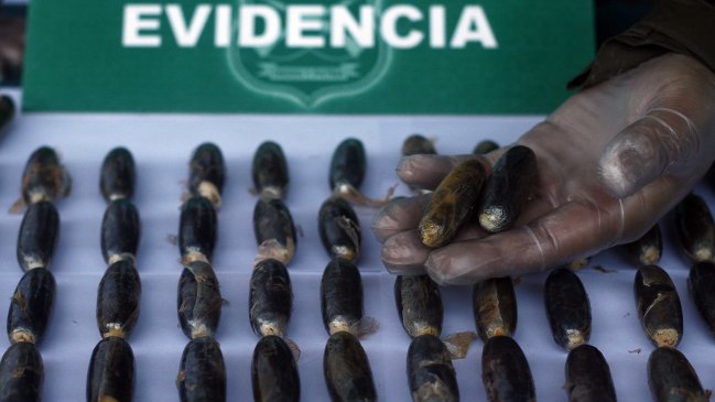 PDI incautó más de 100 ovoides de cocaína en Valparaíso