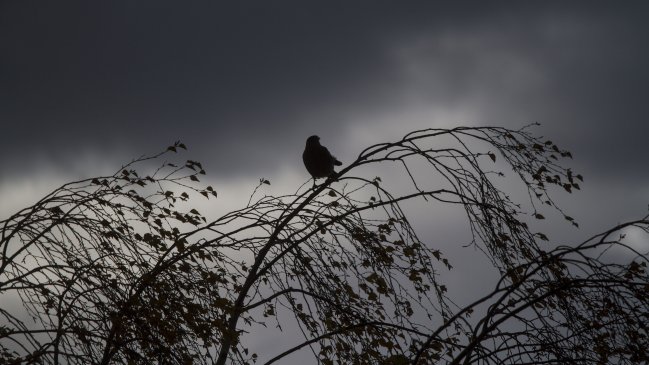 Perú declaró en emergencia 17 distritos por el fenómeno de El Niño