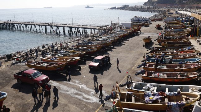 Caleta Portales se encuentra totalmente operativa tras lluvias