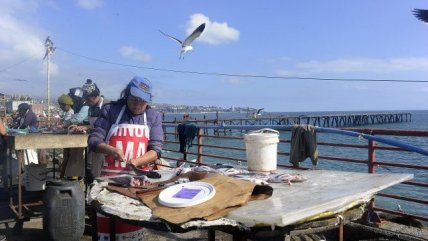 Pescadores de Caleta Portales reanudaron sus actividades