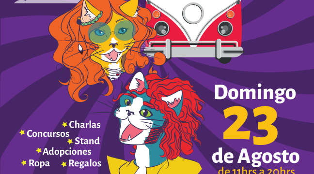 Los detalles de una nueva versión de 