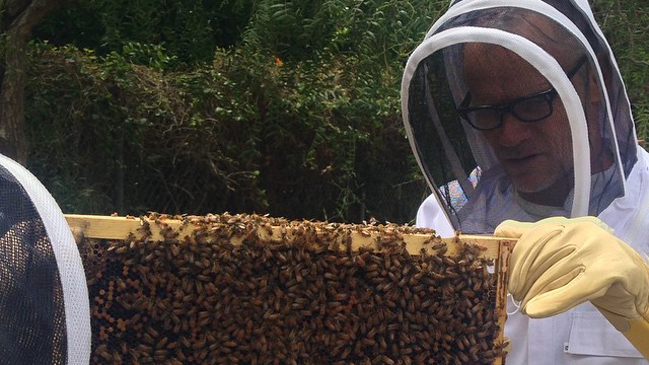 Los desconocidos pasatiempos de los músicos famosos