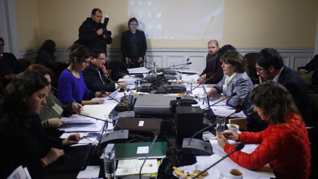 Comisión de Educación aplazó hasta septiembre votación de indicaciones