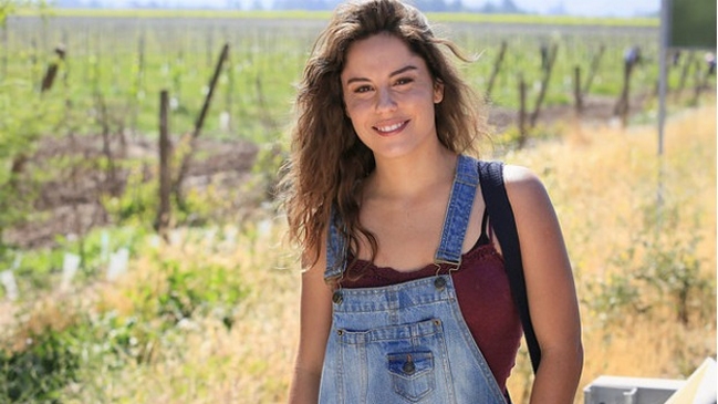 VTR emitirá contenido de TVN de manera gratuita en VOD