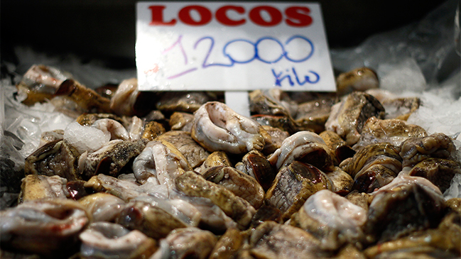 Este martes comienza la veda de la merluza y el loco