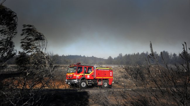Onemi alertó sobre posibles incendios forestales por altas temperaturas en zona central