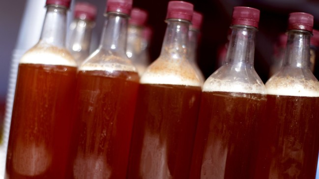 Autoridades sanitarias y de agricultura fiscalizaron chichería en Independencia