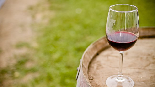 Fundador de la Viña Morandé: El vino es el emblema de Chile