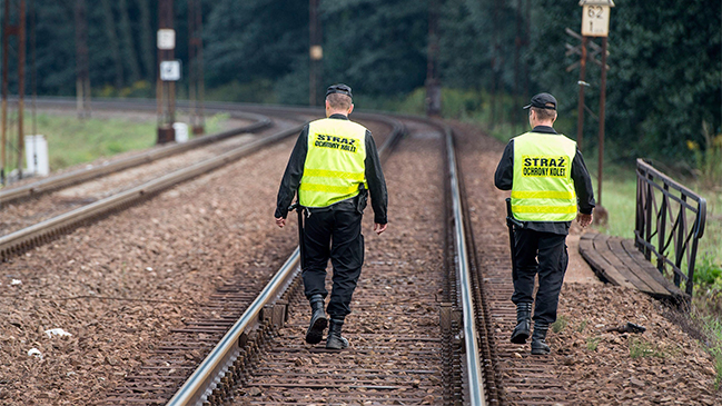 Crece la polémica en Polonia por supuesto hallazgo del 