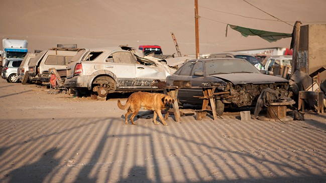 Junji y caso de niño desnutrido: 
