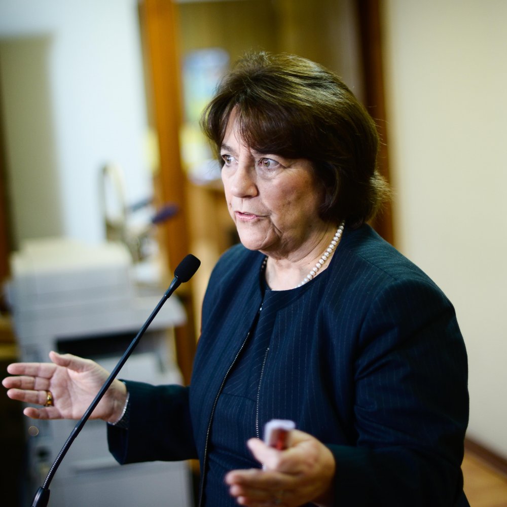 Nueva Mayoría espera 