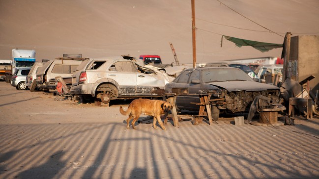 Sename presentará querella criminal contra madre de niño abandonado en Arica