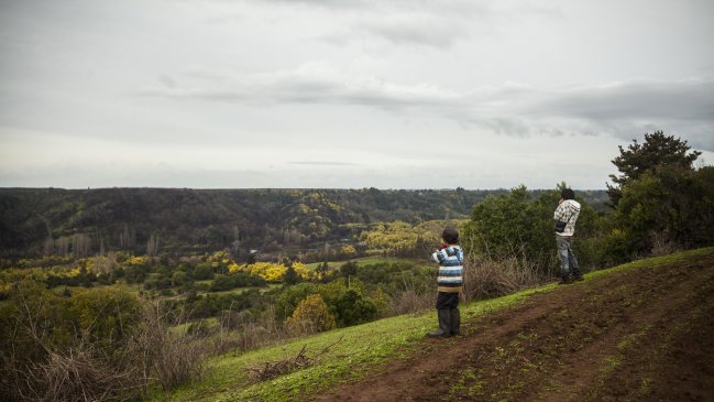 Comuneros retuvieron a funcionarios de la Conadi por demandas de terreno