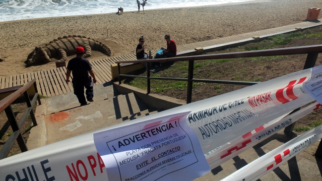 Autoridades cierran playas en la Región de Coquimbo por fragata portuguesa