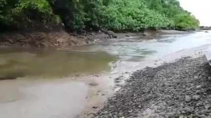   Registraron impacto de olas en Costa Rica tras el terremoto chileno 