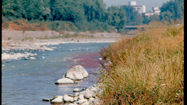 Tres nuevas exposiciones debutan en el Museo de la Solidaridad Salvador Allende