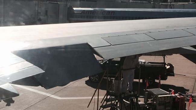 Cientos de abejas aterrorizaron a pasajeros de avión de American Airlines