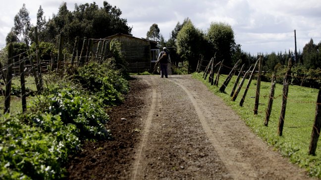 Encuentro nacional de agricultores abordará gestiones políticas del Ejecutivo