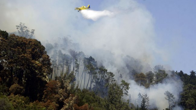 Gobierno enviará químico retardante para combatir incendio en Brasil