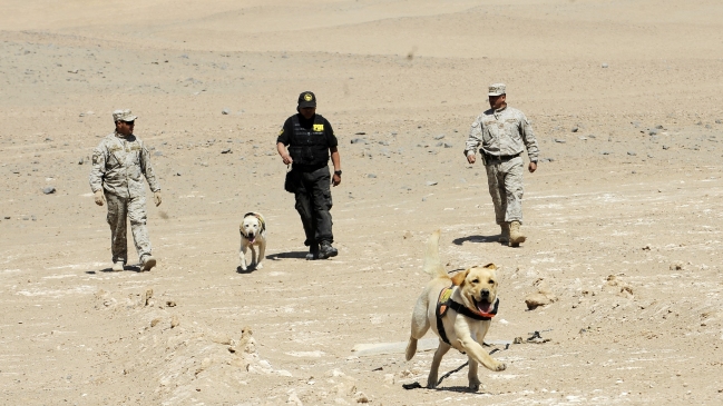 Sin resultados sigue búsqueda de joven abandonado en el desierto por carabineros