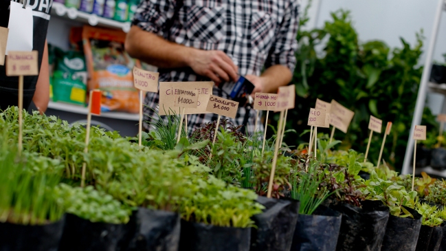 Presidenta Bachelet se ausenta de encuentro nacional de agricultores
