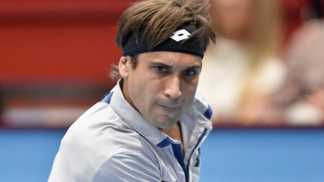 David Ferrer y Steve Johnson lucharán por el título en Viena
