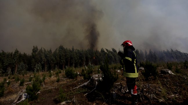 Decretan Alerta Roja para la comuna de Arauco por incendio forestal