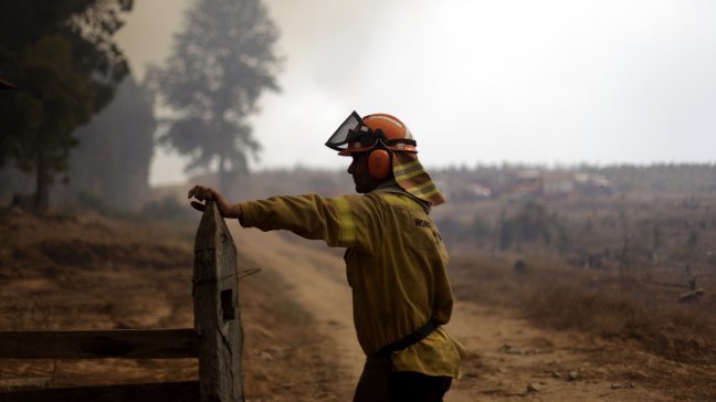 Onemi levanta Alerta Roja y decreta Alerta Amarilla en Arauco por incendio forestal