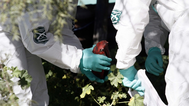 Extintor detonó en cercanías de recinto de Gendarmería en San Bernardo