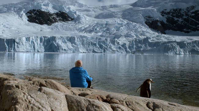 Lo mejor del documental internacional se dará cita en Surdocs