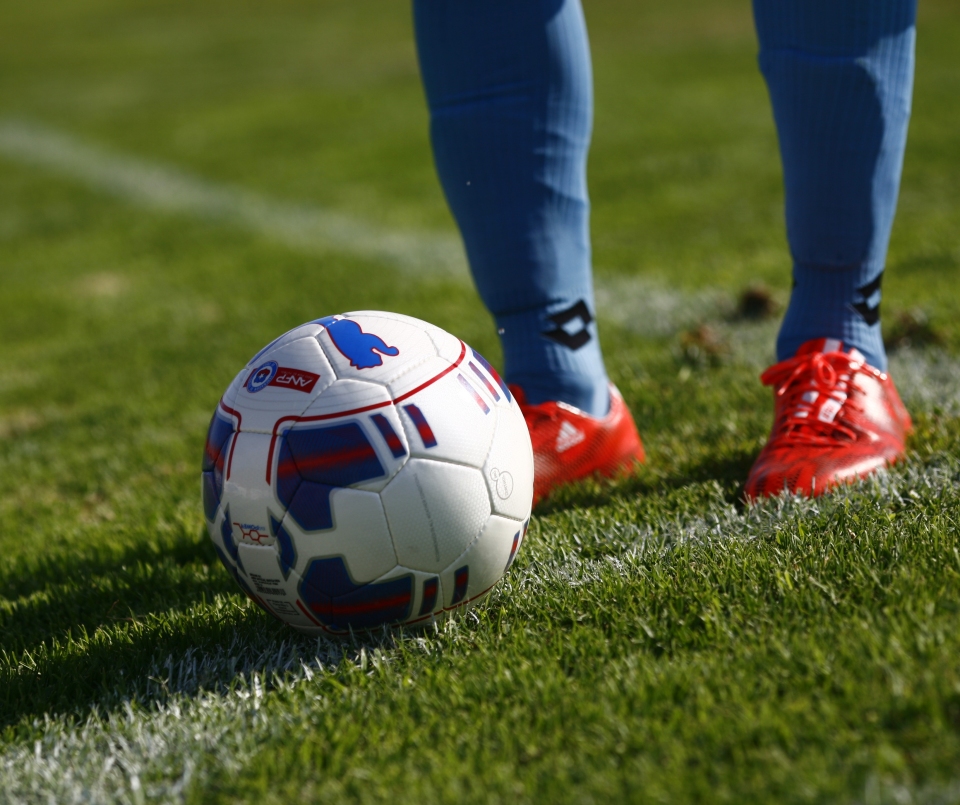 ¿Qué resultados esperas en el regreso del Torneo de Apertura?