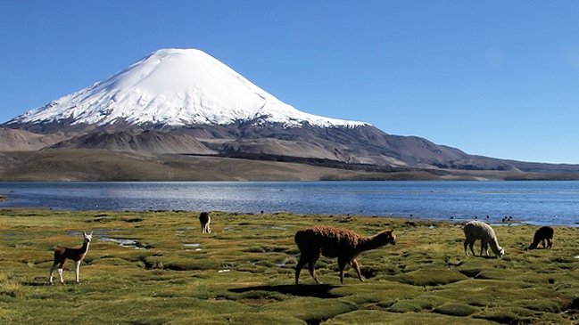 Lago Chungará, un paraíso en las alturas convertido en vertedero