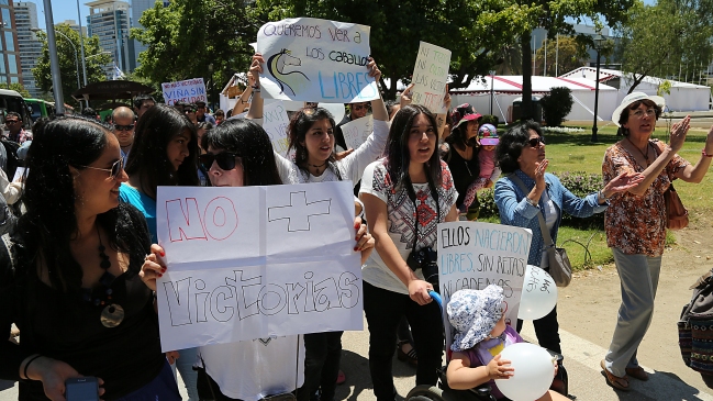 Animalistas marcharon en contra de la utilización de caballos en carros victoria