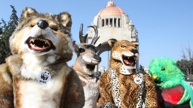 Marchas por clima reunieron a 570.000 personas en 175 países, según organización