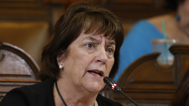 Gratuidad: Tribunal Constitucional acogió a trámite recurso de la oposición