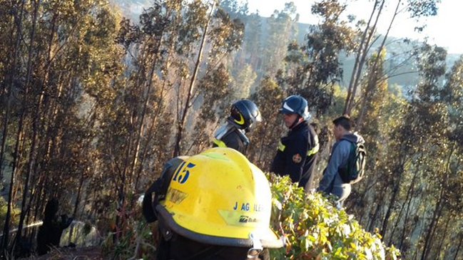 Onemi declaró Alerta Roja por incendio forestal en Valparaíso