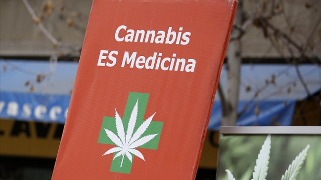 Gobierno autoriza venta de medicamentos en base a cannabis