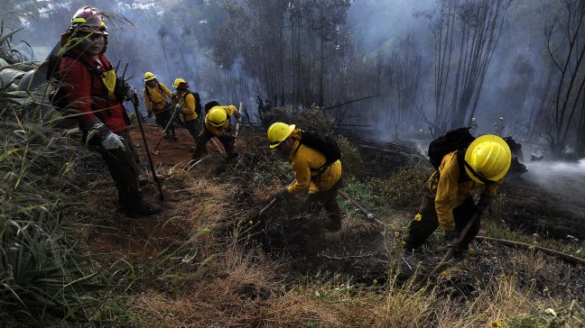 Conaf alerta riesgo de incendios forestales en siete regiones