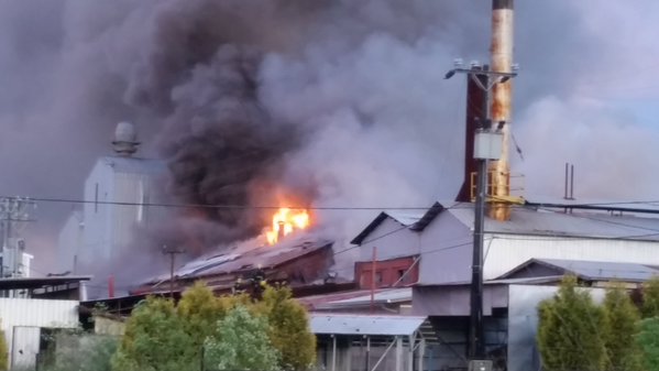 Bomberos combate incendio en fábrica de lácteos cerca de Valdivia