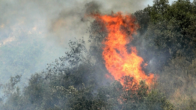 Región de Valparaíso: Alerta roja por incendio forestal en Olmué