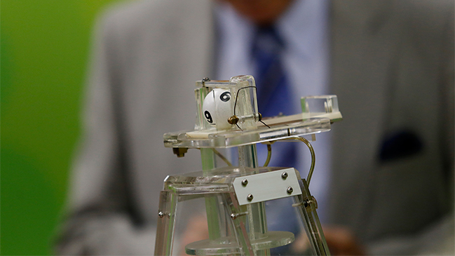 Ya hay dos nuevos ganadores de 