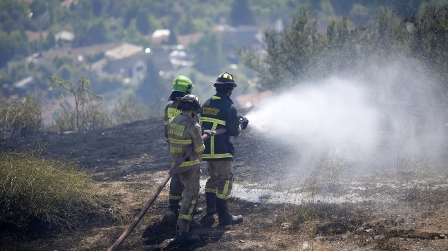 Onemi declaró Alerta Roja por incendio forestal en Puente Alto
