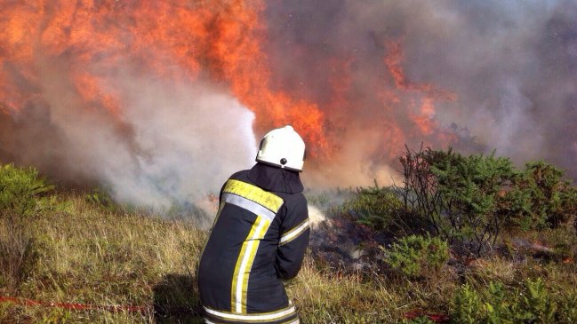 Conaf controló incendios forestales en la comuna de Villa Alemana