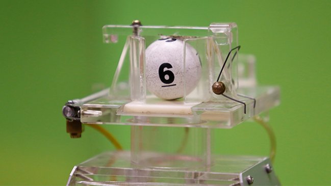 Ya están los siete ganadores del inédito sorteo 