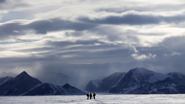 Antártica Chilena: Exploran riesgo de colapso en la mayor plataforma de hielo del mundo