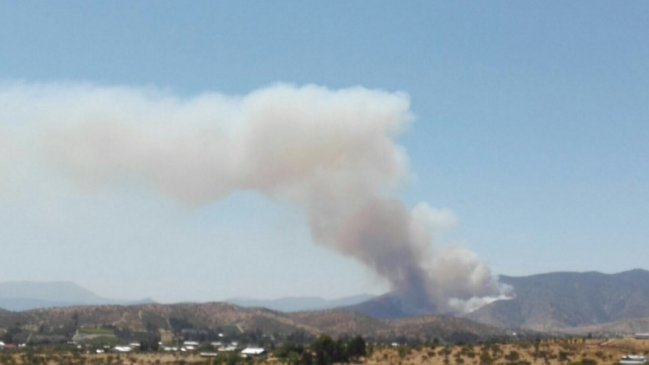 Onemi decretó alerta roja en Melipilla por incendio forestal
